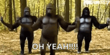 gorilla dance humor moves