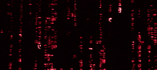 Hack Tag GIF - Hack Tag Red GIFs
