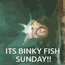 Funnyfish Sunday GIF - Funnyfish Sunday Binkyfish GIFs