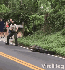 Catching An Alligator Viralhog GIF - Catching An Alligator Viralhog Pulling GIFs
