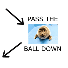 a picture of a seal with the words pass the ball down underneath it