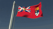 a flag with a coat of arms on it is flying in the wind
