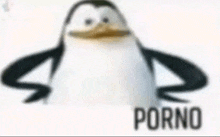 a penguin is standing in front of a white background with the words porno written on it .