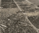 a pile of paper clips laying on a table