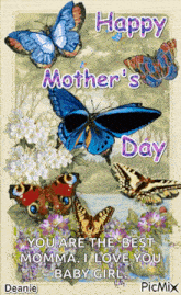 Happymothersday Butterfly GIF - Happymothersday Butterfly Flowers GIFs