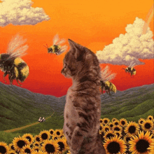 a cat stands in a field of sunflowers watching bees