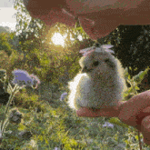 Flower Hat Bird GIF - Flower Hat Bird Chick GIFs