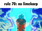 Rule 70 Goku GIF - Rule 70 Goku Goku Rule GIFs