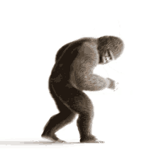 dance gorilla