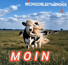 Hello Moin Moin GIF - Hello Moin Moin Moinsen GIFs