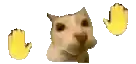 a close up of a cat 's face with two yellow thumbs up .