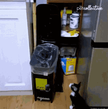 GIF