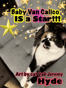 a cat laying on a couch with the words " baby van calico is a star "