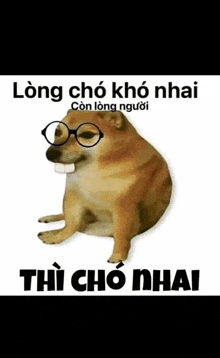 a dog wearing glasses is sitting on a white background with foreign writing .