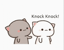 a couple of cats are standing next to each other and one of them is touching the face of the other cat .