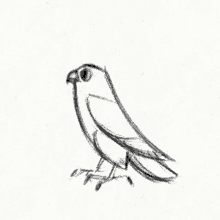 Mäpmäp Falcon GIF - Mäpmäp Falcon Peregrine Falcon GIFs