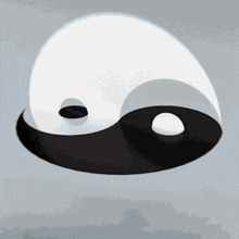 a black and white yin yang symbol with a white circle in the middle