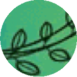 a pair of scissors in a green circle