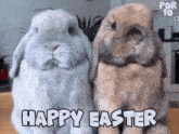Happy Easter Easter Bunny GIF - Happy Easter Easter Bunny Easter GIFs