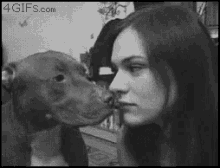 Girl Dog Porn Gifs - Dog Fuck Girl Gif GIFs | Tenor