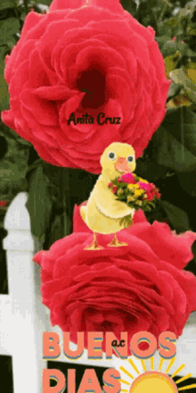 Anitacruz GIF - Anitacruz GIFs