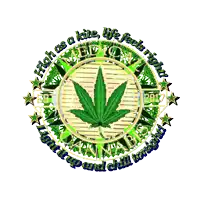 a poster that says ' high has a kite life feels right ' on the bottom