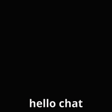 Hello Chat Mr Kitty GIF - Hello Chat Mr Kitty GIFs
