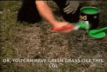 Paint Grass Lawncare GIF - Paint Grass Lawncare Paint GIFs
