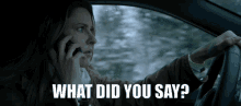 Braven Jill Wagner GIF - Braven Jill Wagner What Did You Say GIFs
