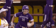Northwestern Softball GIF - Northwestern Softball GIFs
