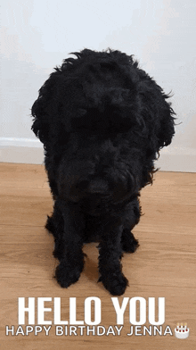a black dog with the words hello you happy birthday jenna written on it