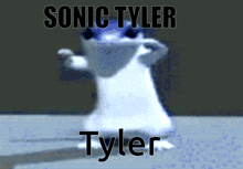 Sonic Tyler Tyler Lizard GIF - Sonic Tyler Tyler Tyler Lizard GIFs