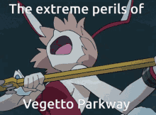 Vegetto Parkway GIF - Vegetto Parkway Flcl GIFs