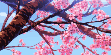 a tree with lots of pink flowers on it