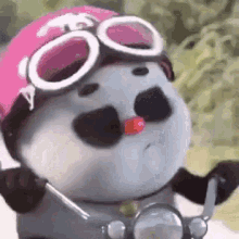 Cute Panda I Am Coming GIF - Cute Panda I Am Coming Gif GIFs