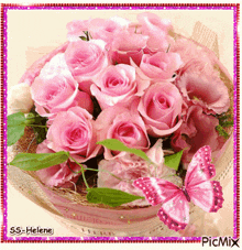 a picture of a bouquet of pink roses with a butterfly