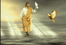 Jesus Dove GIF - Jesus Dove Water GIFs