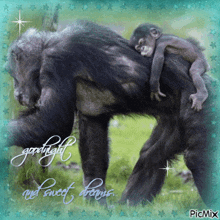 a picture of a gorilla with a baby on its back with the words goodnight and sweet dreams written below it