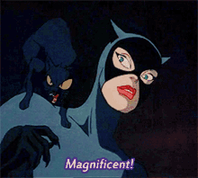 Catwoman Selina Kyle GIF - Catwoman Selina Kyle Magnificent GIFs