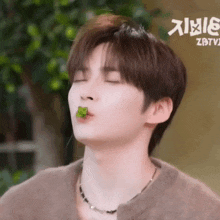 a young man with his eyes closed is eating a green leaf from his mouth .