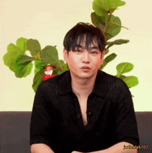 a man in a black shirt is sitting on a couch in front of a plant with a christmas ornament on it