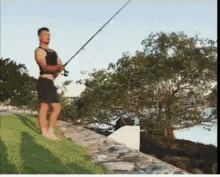 Attention Fishing GIF