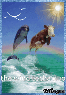 a dolphin and a cow jumping out of the water with the words " the wind techa duo "