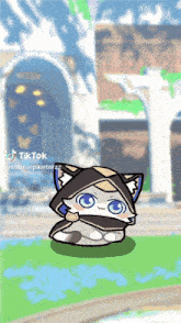 a cartoon drawing of a cat with a hood and a caption that says " tiktok "