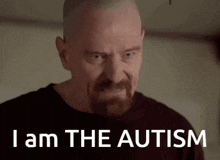 I Am The Autism Walter White GIF - I Am The Autism Walter White GIFs