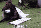 a horse laying on a mattress with the words pdj sleeping it below it