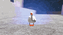 Smg4 Goose GIF - Smg4 Goose Duck GIFs