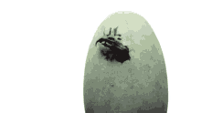hatch egg dinosaur awake born