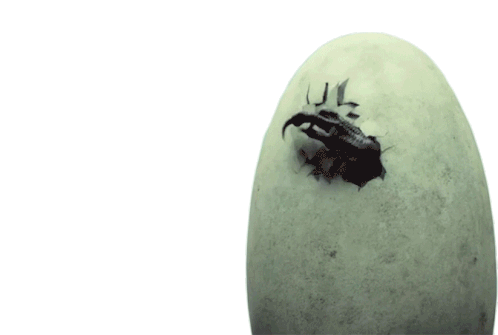 Hatch Egg Sticker - Hatch Egg Dinosaur Stickers