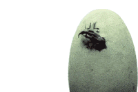 Hatch Egg Sticker